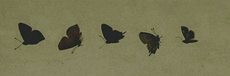 3allgreen's profile banner image