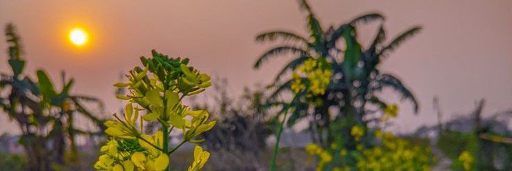 SIYAM15555's profile banner image