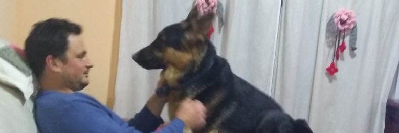 rodrigoperren's profile banner image