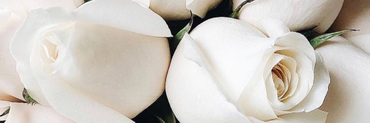 kianarenaeeee's profile banner image