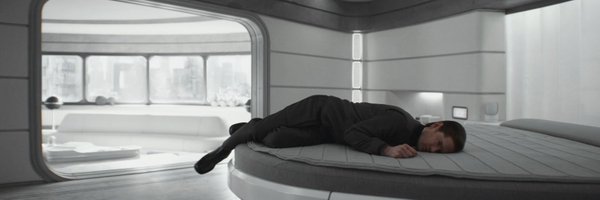 CountsSpiders Profile Banner