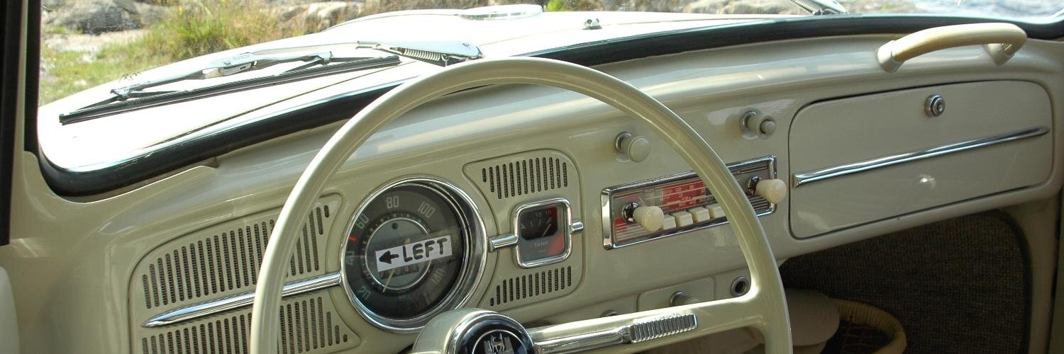 Tamara Goldsteen banner