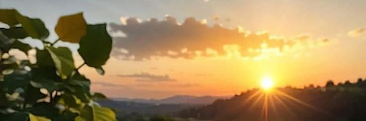 Pierifior's profile banner image