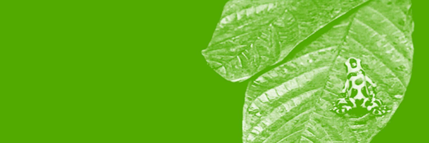 INAFORESTA banner