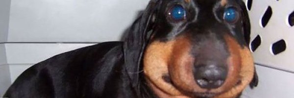 enzow_brb Profile Banner