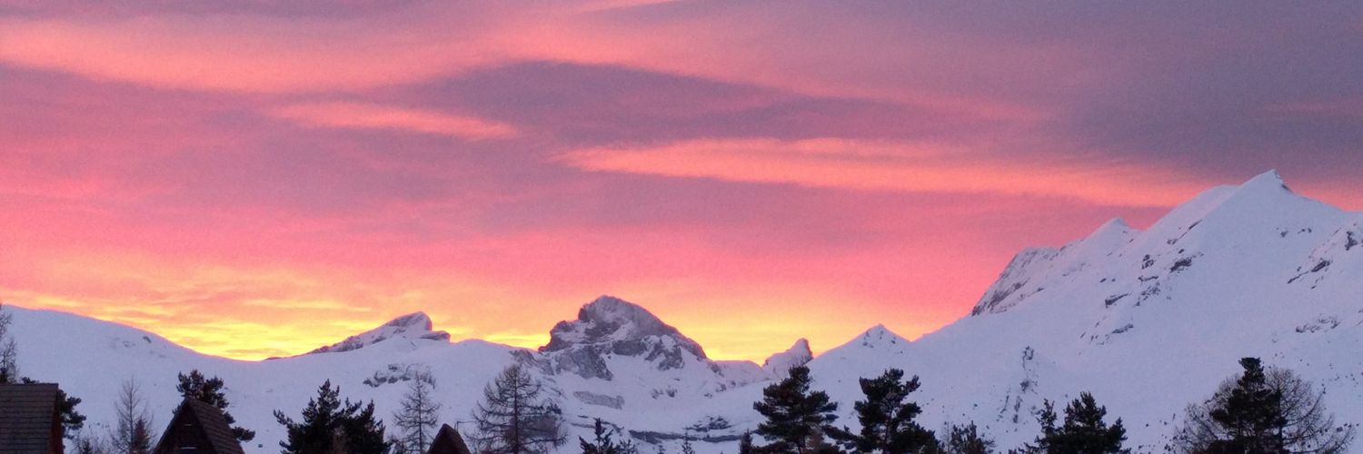 jollaint ⭐⭐ banner