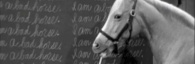 T_ForTomato's profile banner image