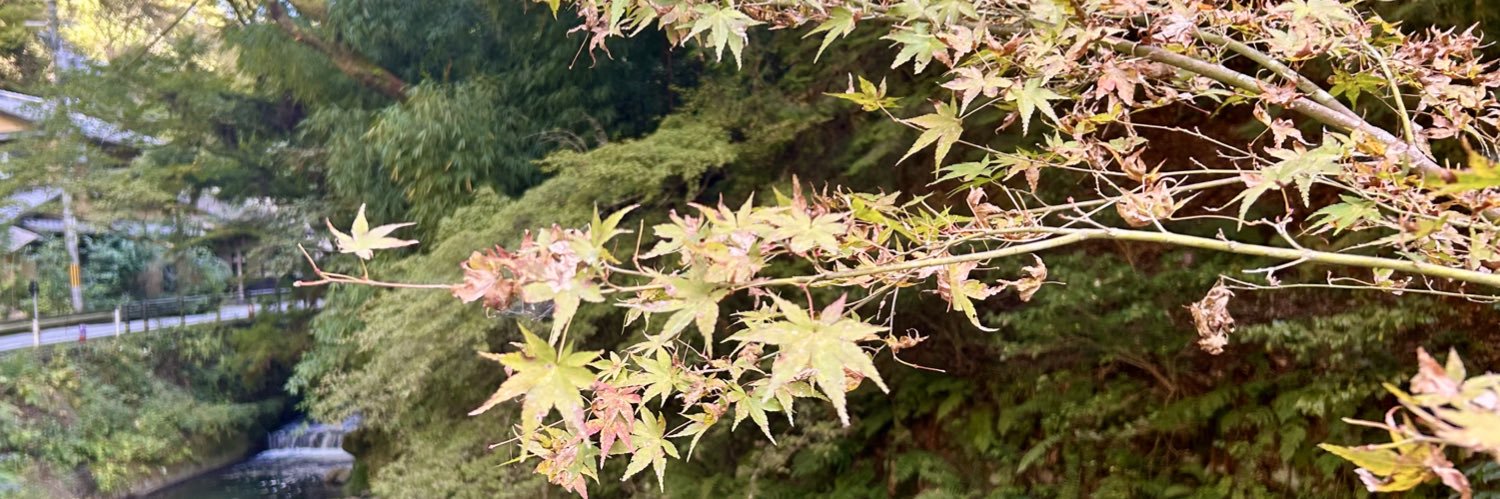みどり憬's banner