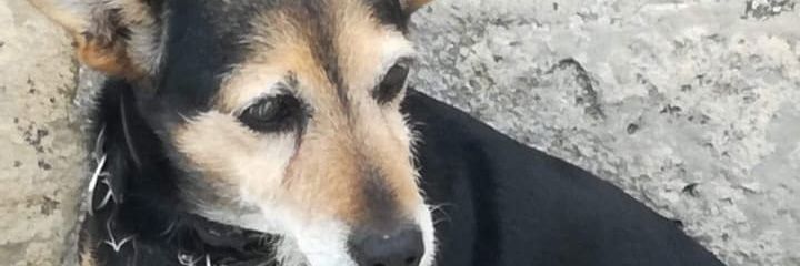 izan1998's profile banner image