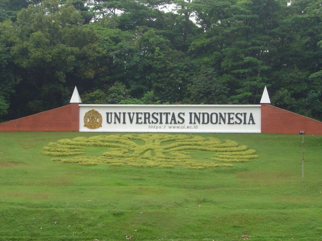 Softball Baseball UI banner