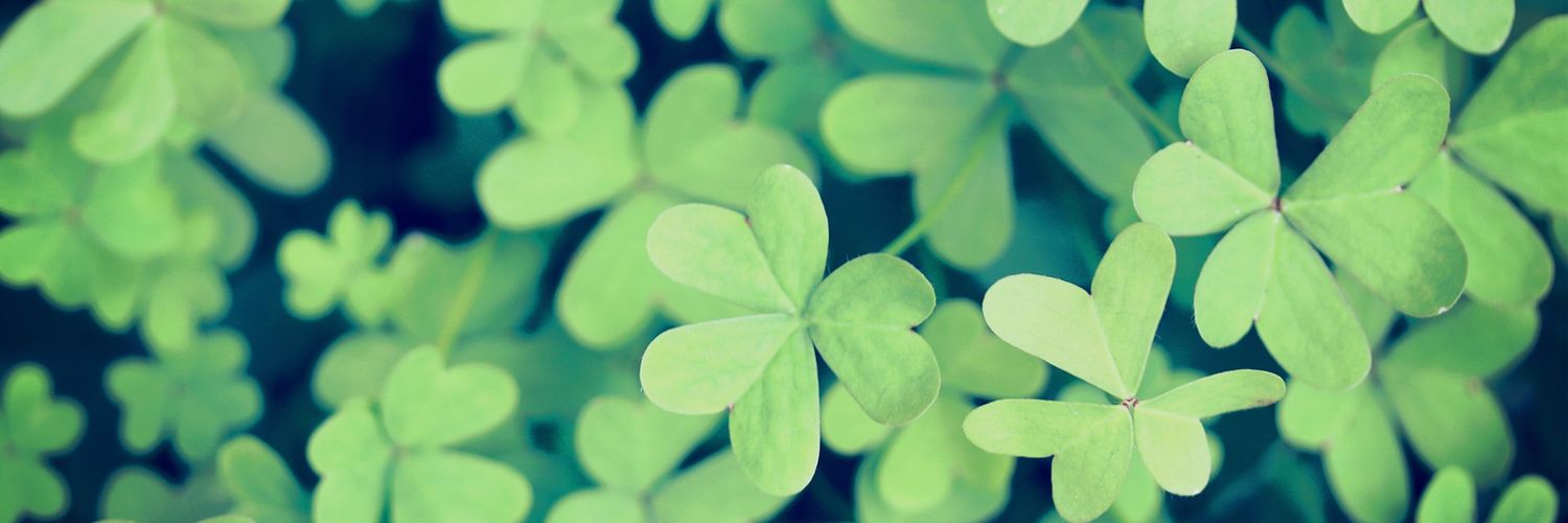 葉月りゅう banner