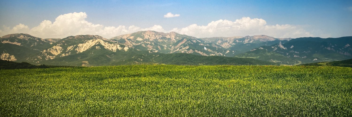 43Ric's profile banner image