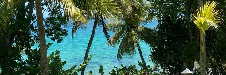 Theo_fanmills.off 🌴☀️ banner