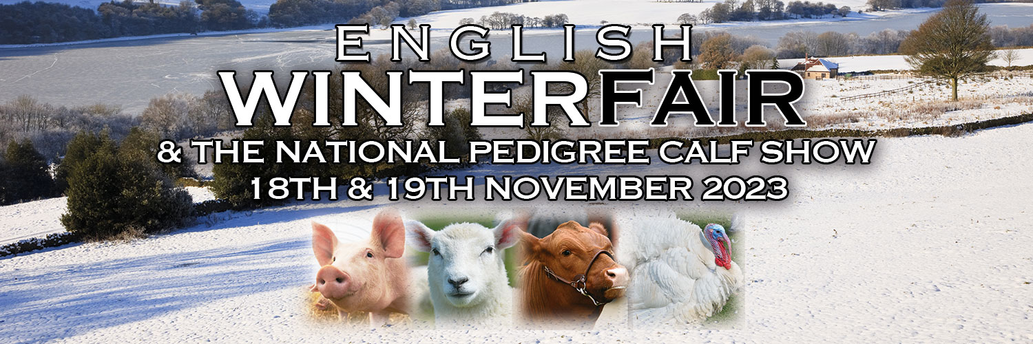 English Winter Fair banner