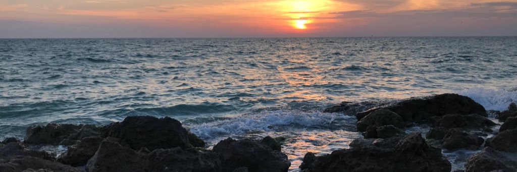cibifi's profile banner image