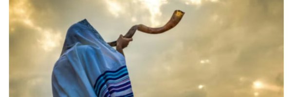 ittybitty_tsc Profile Banner