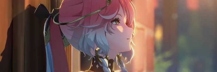fujiko banner