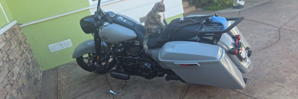 angelitro5 Profile Banner