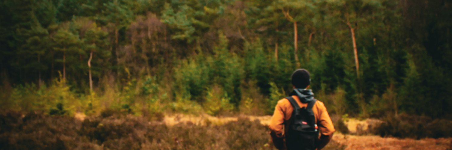 MeaneyPj's profile banner image
