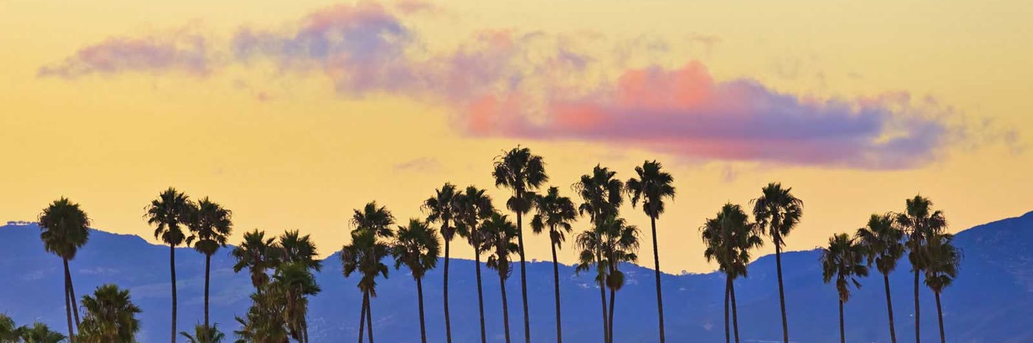 steffychopstix's profile banner image