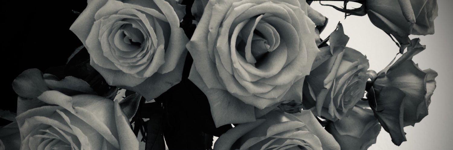 Maryyluna__'s profile banner image