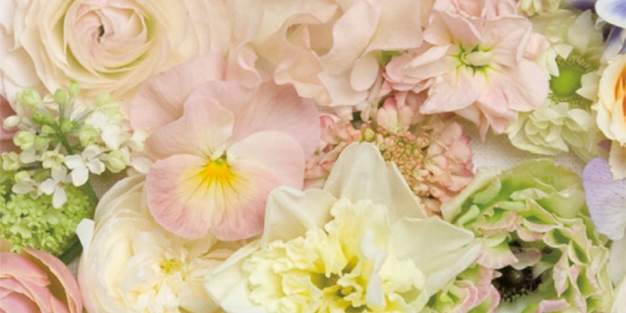 hemppppp's profile banner image