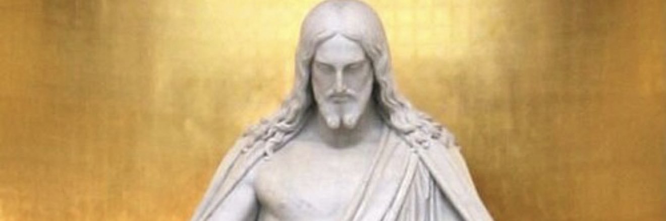 Dogstin 🇺🇸 banner