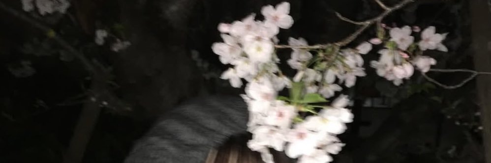 み banner