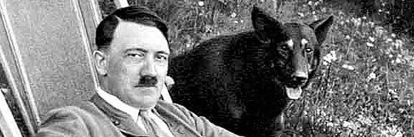 ThatGuyFuds's banner