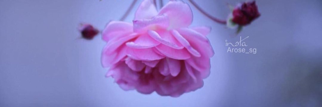fff141966's profile banner image
