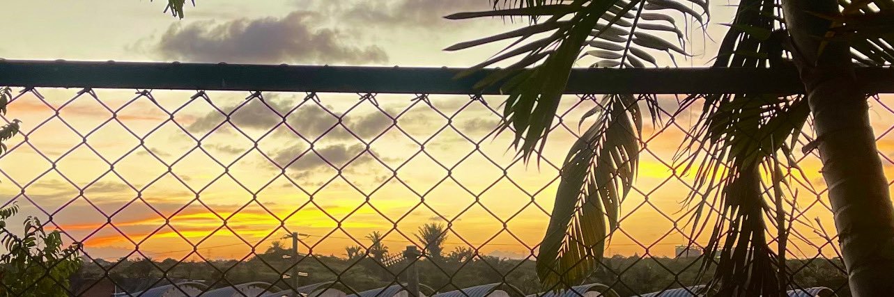 bupropionafeels's profile banner image