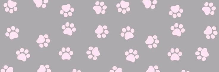 alysxluv's profile banner image