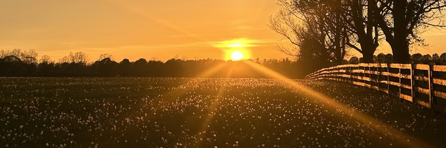 _izzfrancis's profile banner image