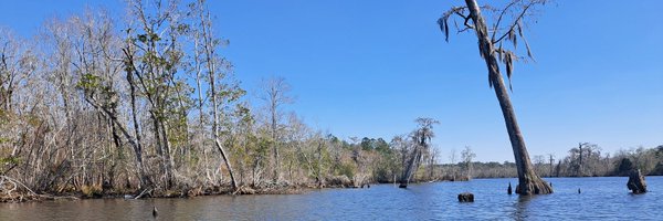 bamalibcatlady Profile Banner