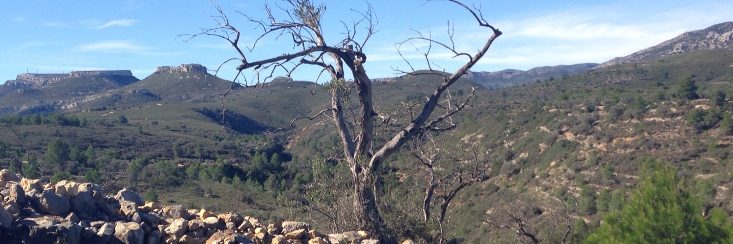 RAUL FERRANDO banner