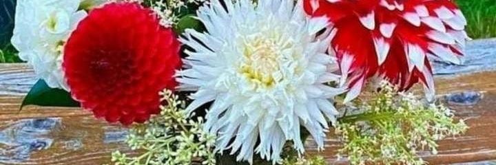 Haroonfalak1's profile banner image