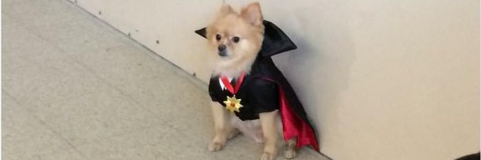 Margaret Hale banner