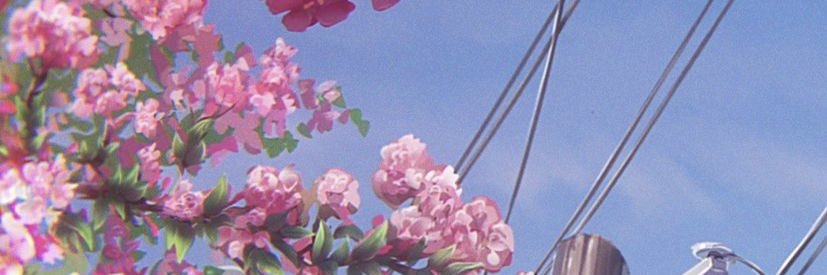 shiro_yi's profile banner image