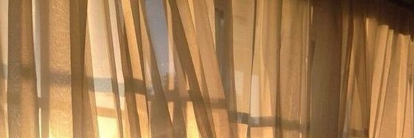 flohuntthinker Profile Banner