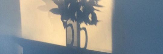 emjee banner