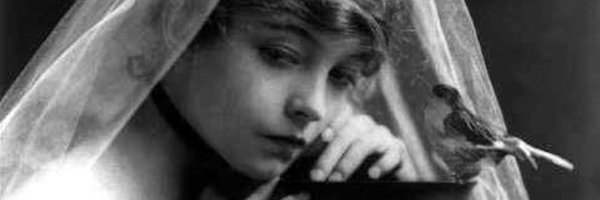 muzackl Profile Banner