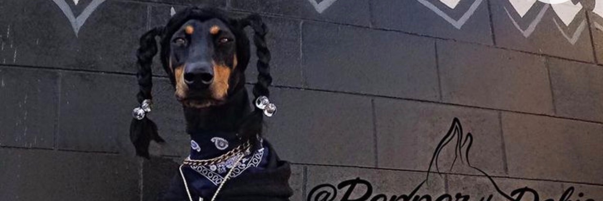 JoshDredZKanda's profile banner image