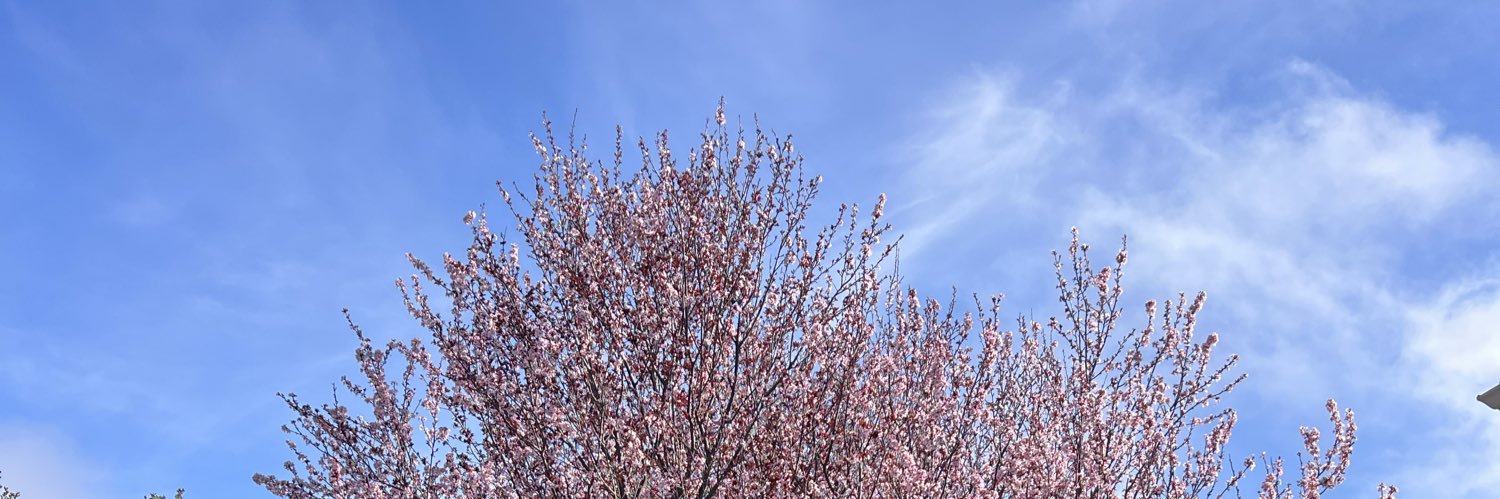 etuleu's profile banner image