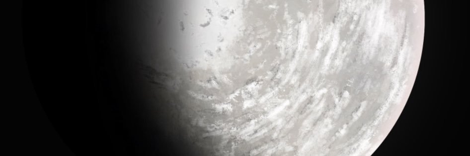 Mr Doog banner