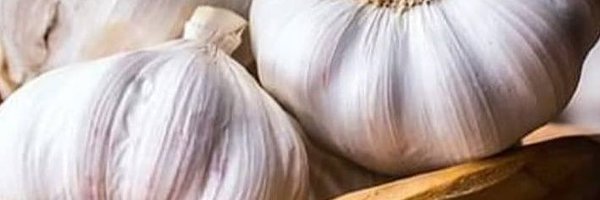 AtaboyShell Profile Banner