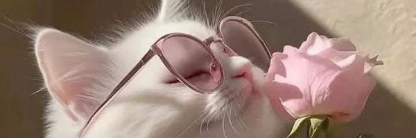 SlapstickT62273 Profile Banner