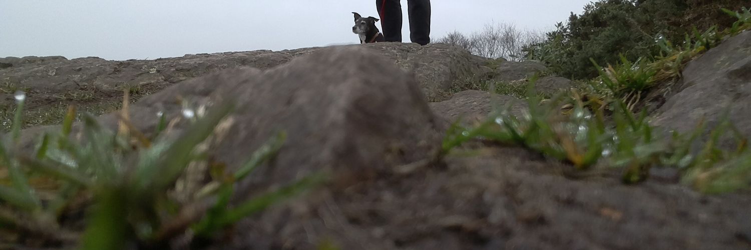 jack553's profile banner image