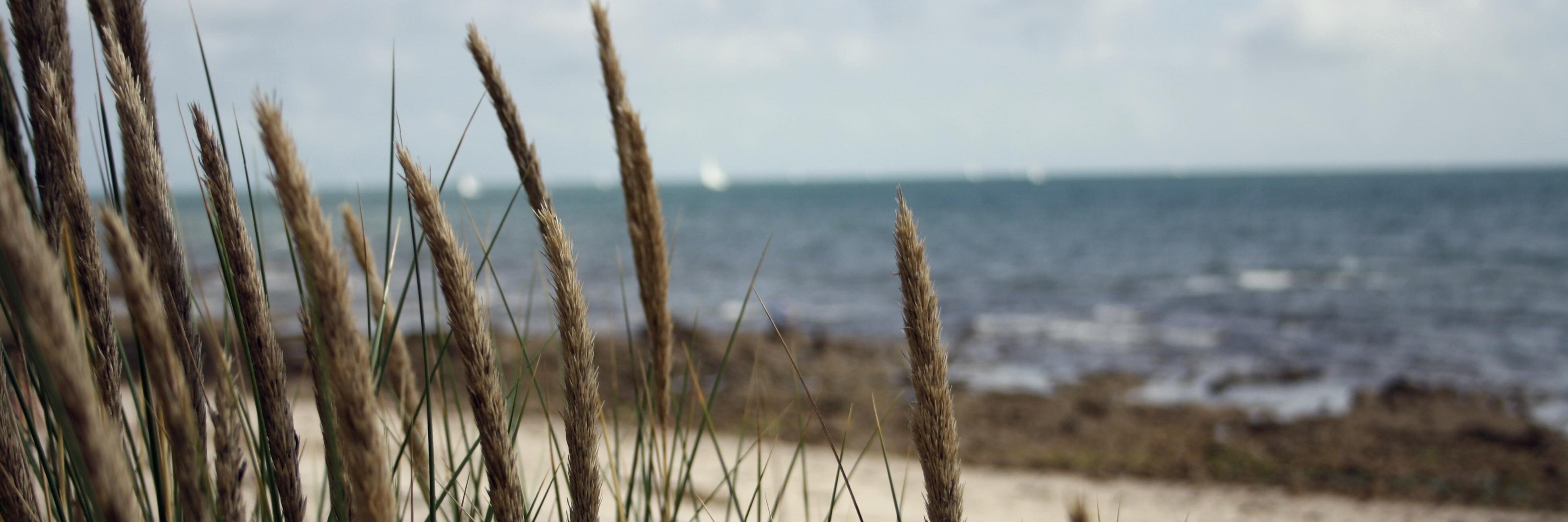 Rémi banner