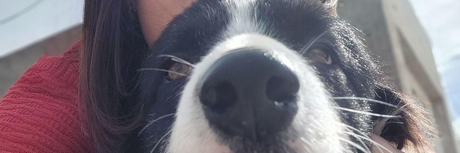 VikiCervera's profile banner image