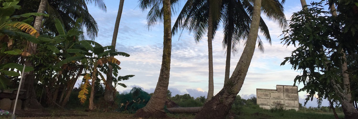 firdauspaklah's profile banner image